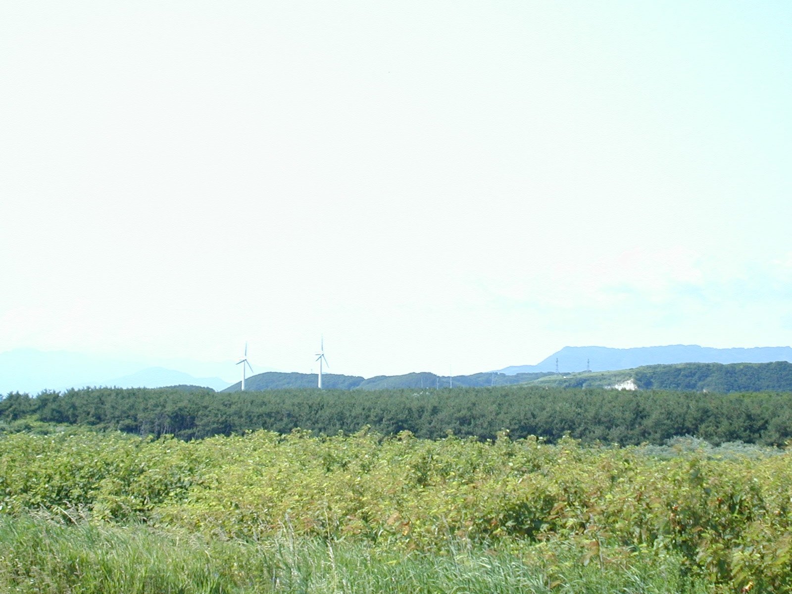 追分ソーラン風力発電所